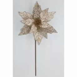 Flower - Christmas, Champagne