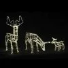 Animated LED Decoration - Reindeer Family With Motor, Warm White