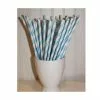 Straws - Paper, Blue & White Stripe 25 Pk