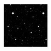 Backdrop - Starry Night -Halloween Costumes Sales THP 19228