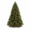 Christmas Tree - 2.1 M Montana Pine LED Multicolour