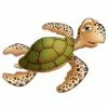 Cardboard Cutout - Jointed, Sea Turtle -Halloween Costumes Sales cutout jointed sea turtle