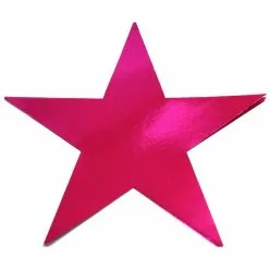 Cardboard Cutouts - Star, Pink 200 Mm 12 Pk