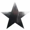 Cardboard Cutouts - Star, Silver 80 Mm 12 Pk