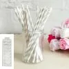 Straws - Paper, Stripe Silver 20 Pk