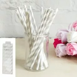 Straws - Paper, Stripe Silver 20 Pk
